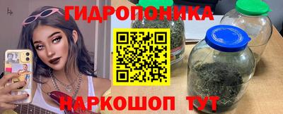 соль ск Сланцы