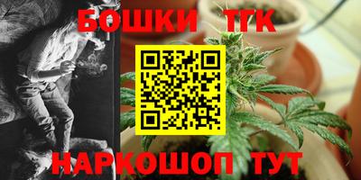 соль ск Сланцы