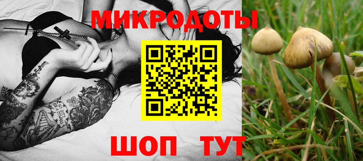 хочу   Вход с VPN  Сосновый Бор  Галлюциногенные грибы GOLDEN TEACHER 