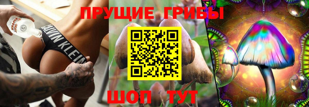 Галлюциногенные грибы прущие грибы Сосновый Бор